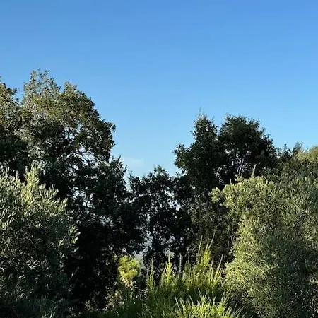 14474 Location Saisonniere Bas De Dans Un Domaine Prive Prestigieux Apartment Les Adrets-de-l'Esterel