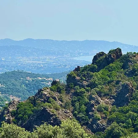 Apartment 14474 Location Saisonniere Bas De Dans Un Domaine Prive Prestigieux Les Adrets-de-l'Esterel